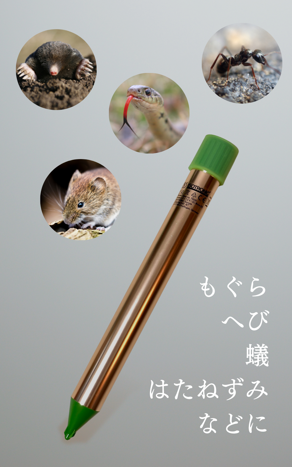 ハタネズミやヘビにも　もぐら退治　超音波と振動で撃退　ISOTRONIC　電池式　–　Japan